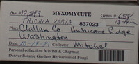 Image Associated With the Occurence